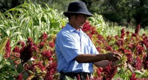 creditos-y-donaciones-para-pequenos-productores-del-norte