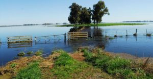 EmergenciaAgrop