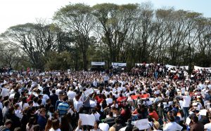 foto8