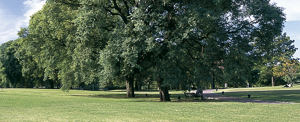 PalermoBosques