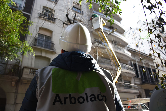 Arbolado
