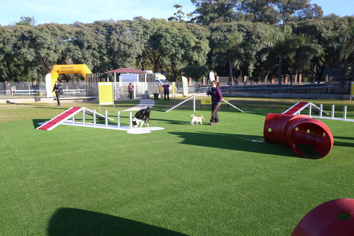 ParqueParaMascotas-1
