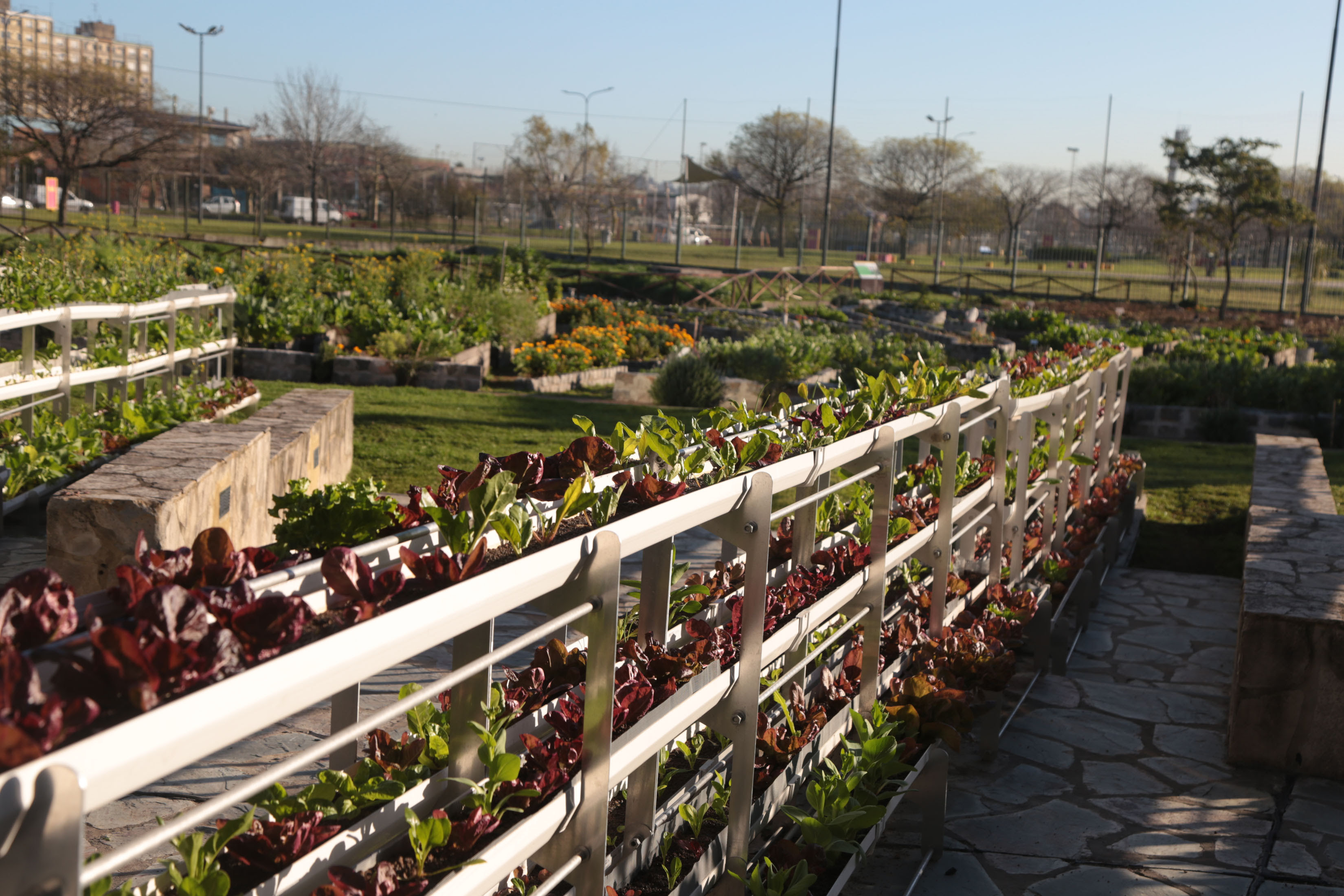 Paseo Ambiental del Sur-2