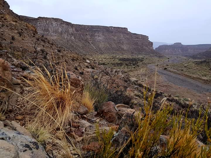 Paso del Sapo (4)