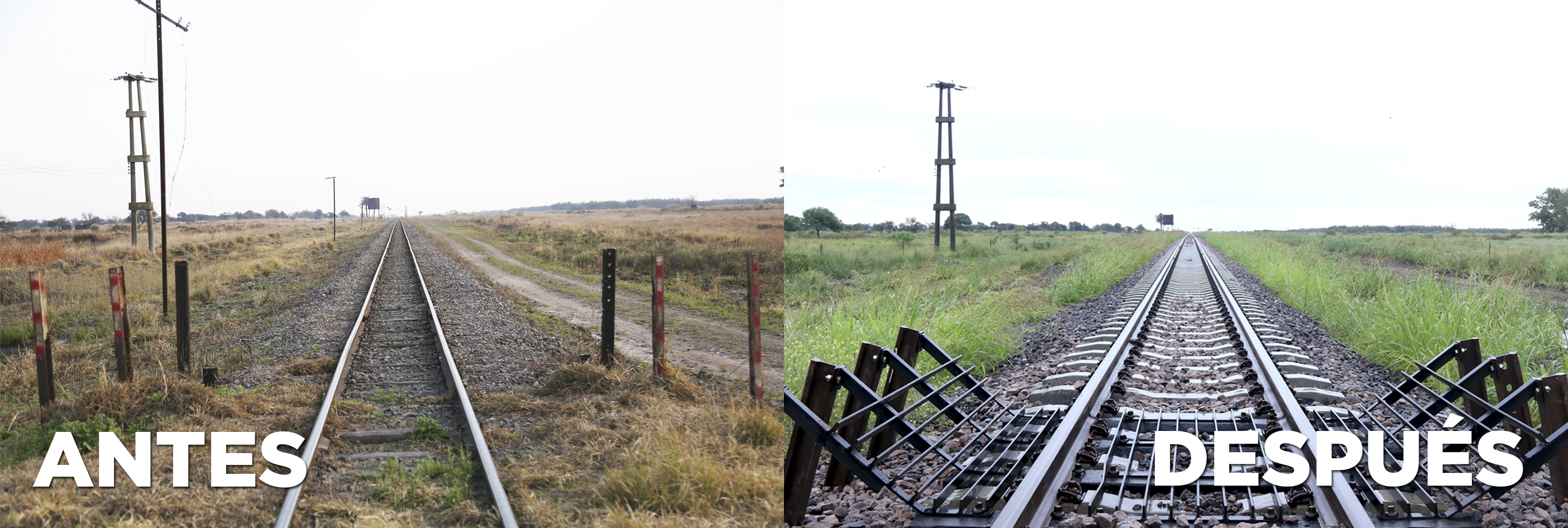 Trenes (1)