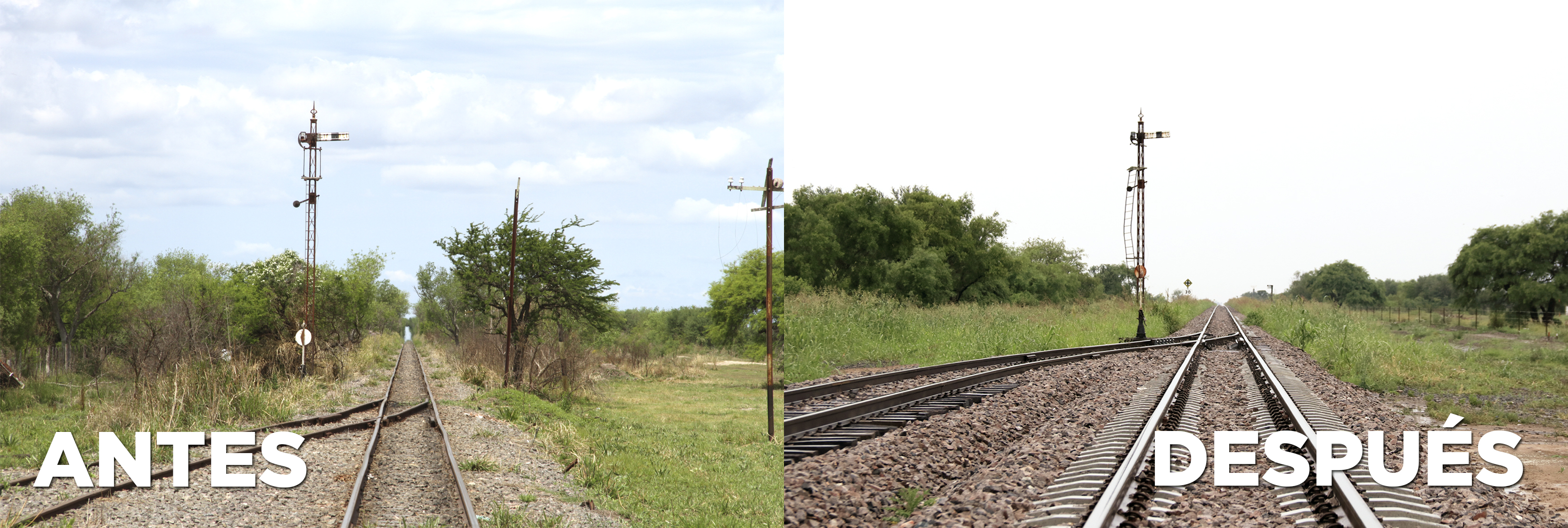 Trenes (2)