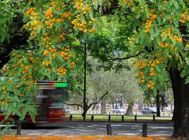 CiudadBsAs