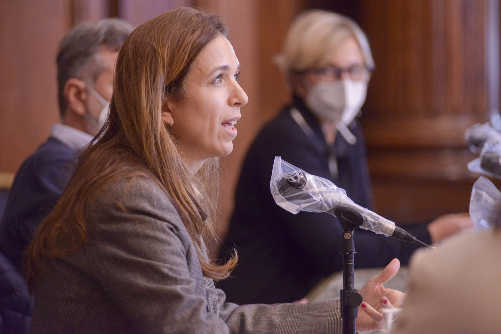 Diputada Manuela Thourte.