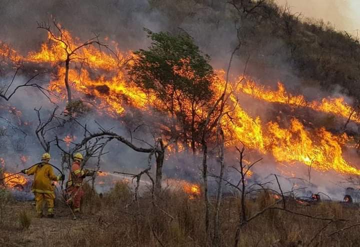El avance de los incendios en la Provincia de Corrientes.